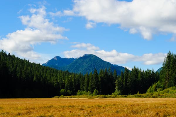 Tumtum Peak, Bear Prairie, Lewis County, Washington. 2016