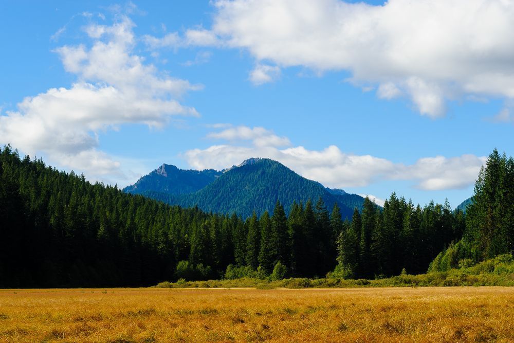 Tumtum Peak, Bear Prairie, Lewis County, Washington. 2016