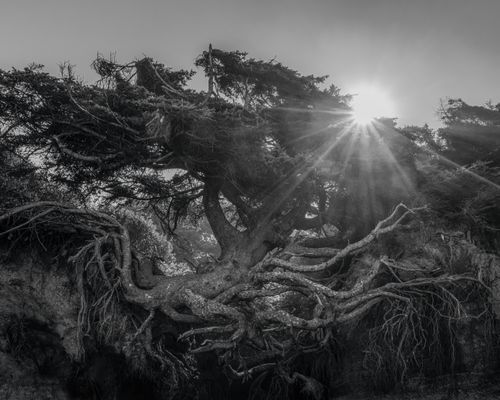 Mdawmdawmdawmdaw7qgraepd6cacehr zcfbfywxu2fyveayeunrgwctqqqltnerwweter6yomfiojy24adow ljj7f22f2vd2s3k0fn 38ezqodftc2xeuhdjufahdziomokxodj3hs jg da6ji5eudq olwagpj5emn52znixi9z3tvgdyrmq5cnbgjrsden5 58lcqn gpjak8eiho4exvy49lg9slvvymmj2mkxer jtxdvo168luqivpw1cmdm2 pyo8a4baf7hsgwqmbdwsqs mvh1oayab9jok804aclgoidrwzji4cq5djh8fspxb1xxhbe9pnuudmgdjayyrd4 xpsdnijlxw3p prssep5a