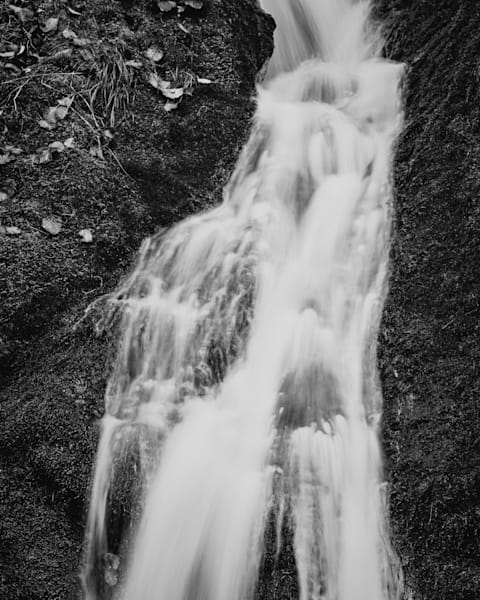 The Language of Water, Olympic Peninsula, Washington, 2025