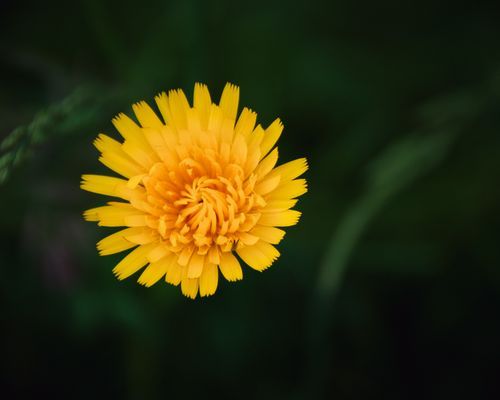 Mdawmdawmdawmdaw7qgraepd6cacehr zcfbfywxu2fyveayeunrgwctqqqltnerwweter6yomfiojy24adow ljj7f22f2vd2s3k0fn 38ezqodftc2xeuhdjufahdziomokxodj3hs jg da6ji5eudq olwagpj5emn52fhjfe931bu zcxdj78gvfsfky7pus4qeslp2efjok90tzpuwqvb8qob5h4qsicju3anwmufrdf9kplu j t5 88legzs2fw ziqjba10gc6wxn4efxigtnuxgc3rgf59prj rgdlu cpskmndcr1uyufqftkaek1ghajqkcqrkxnsows qnrq1dr8ucmxwh tw