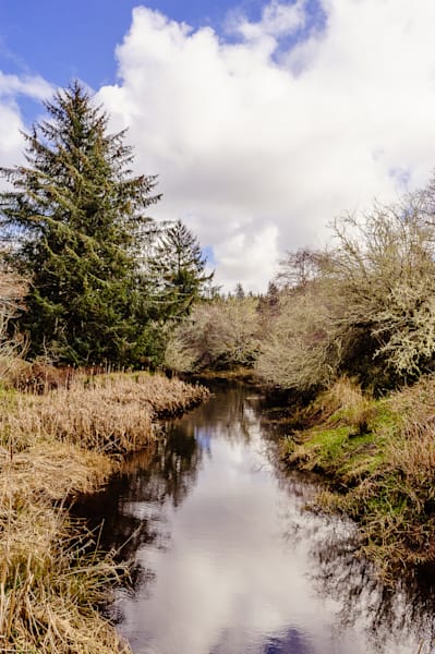 Unknown Creek, Pacific County, Washington, 2017