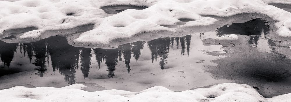 Cascade Summer Thaw, Chinook Pass, Washington, 2014