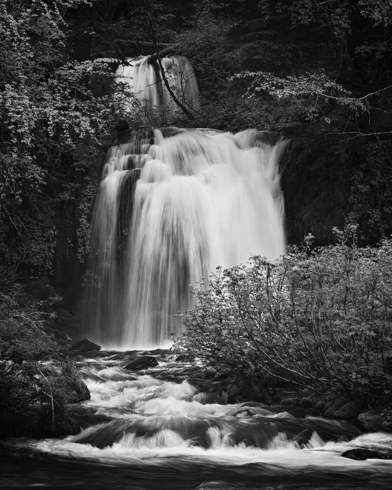 Cascading Waters - Twin Falls Black and White Photography