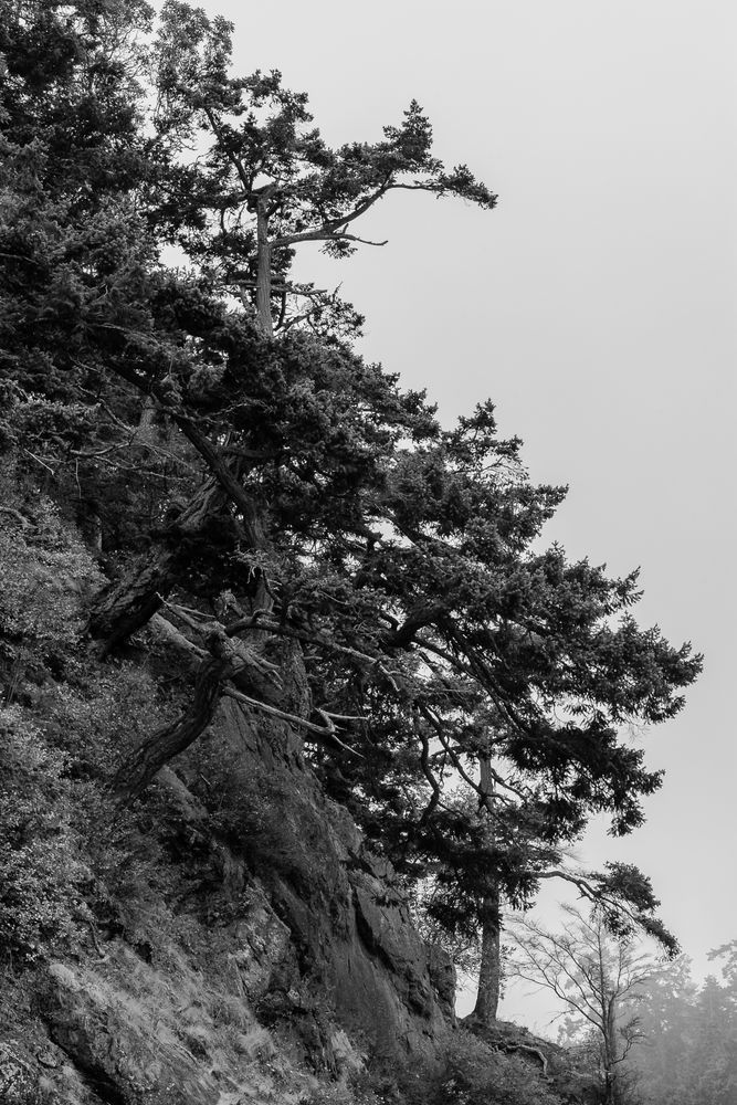 Cliffs, Bowman Bay, Deception Pass State Park, Washington, 2016