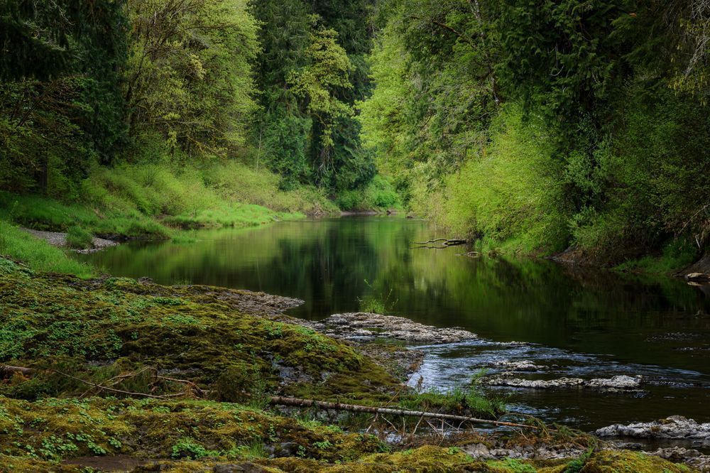 Chehalis River, Rainbow Falls State Park, Washington, 2021