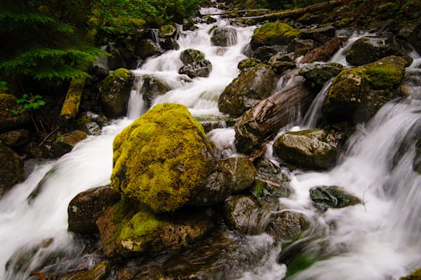 Change Creek, King County, Washington, 2014