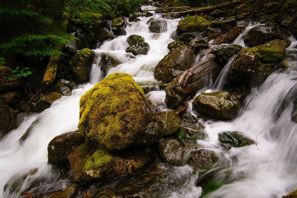 Change Creek, King County, Washington, 2014
