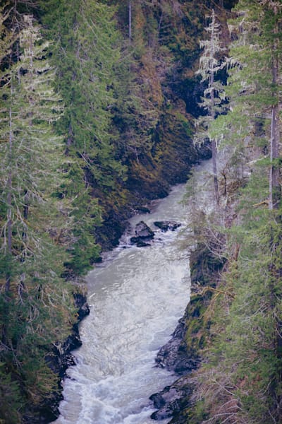 A Glimpse from Above: South Fork Skokomish River, Washington, 2017