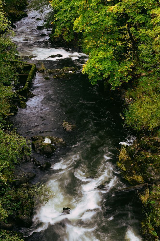 Autumn, Deschutes River, Tumwater, Washington, 2020