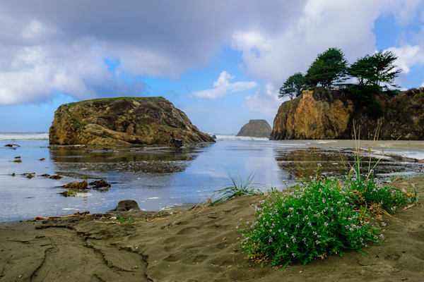 Autumn Morning, Seaside Creek Beach, California