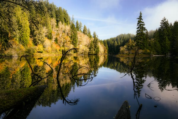 Autumn Morning, Lake Sylvia, Washington, 2020