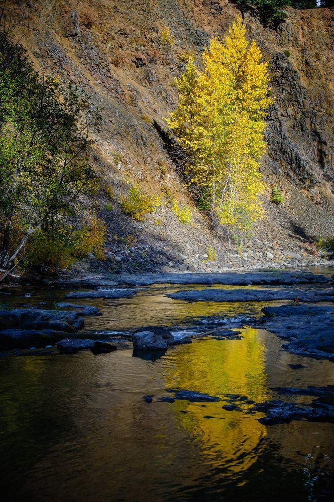 Autumn Reflections, Little Naches River, Washington, 2016