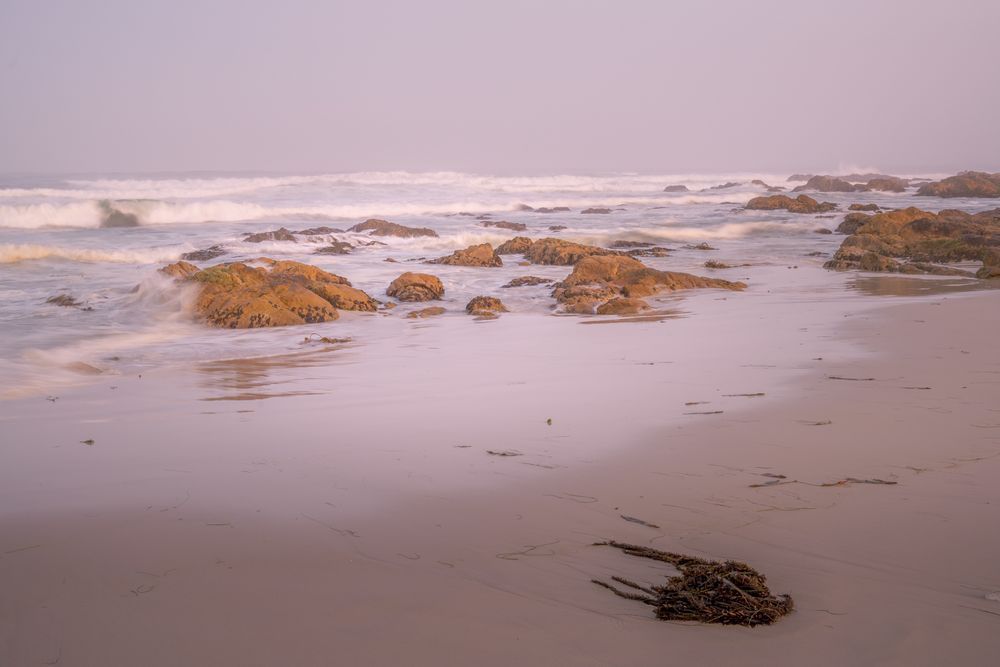 Asilomar Beach No. 1, California, 2021