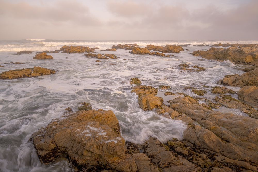 Asilomar Beach No. 6, California, 2021