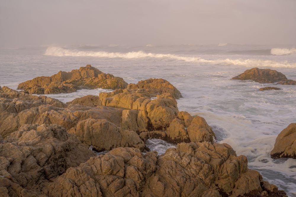 Asilomar Beach No. 7, California, 2021