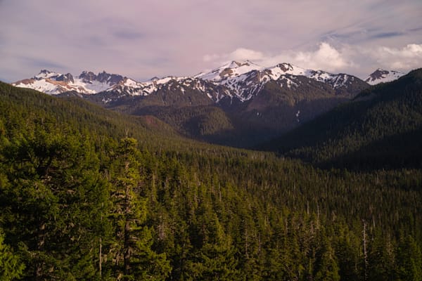 Across the Valley to Goat Rocks, Washington, 2019