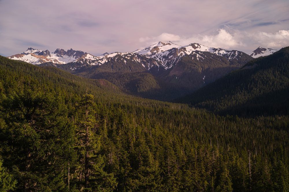 Across the Valley to Goat Rocks, Washington, 2019