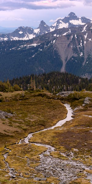 Goat Island Mountain, Washington, 2019