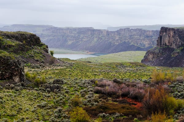 Dusty Lake Arm of the Potholes Coulee, Washington, Spring 2017