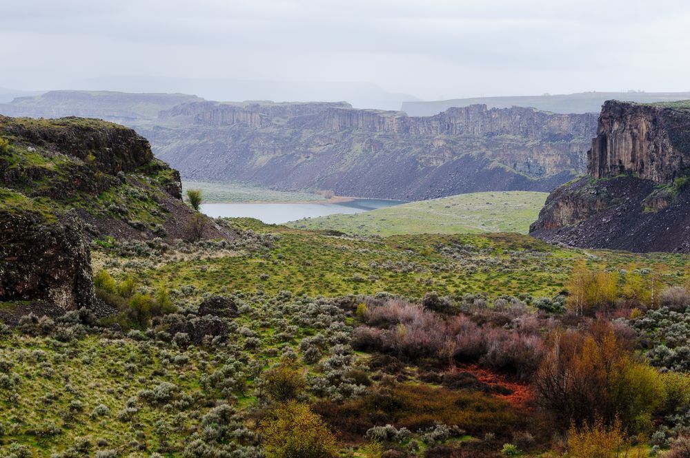 Dusty Lake Arm of the Potholes Coulee, Washington, Spring 2017