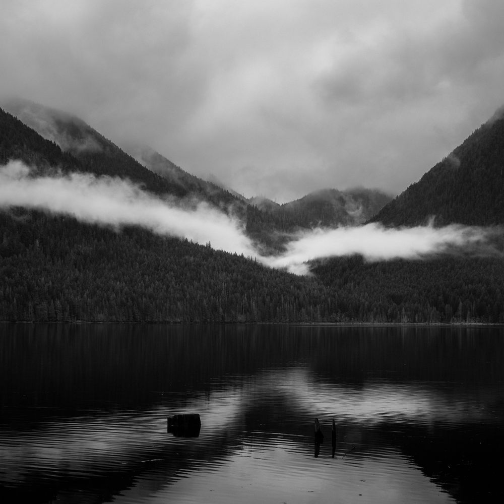 Dry Creek Valley, Lake Cushman, Washington, 2022