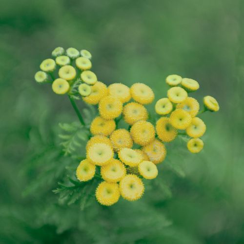 Mdawmdawmdawmdaw7qgraepd6cacehr zcfbfywxu2fyveayeunrgwctqqqltnerwweter6yomfiojy24adow ljj7f22f2vd2s3k0fn 38ezqodftc2xeuhdjufahdziomokxodj3hs jg da6ji5eudq olwagpj5emn5mcxgbbdllbrctyhpr5dkvfshqeanks9lsvf bg6zelymihqhjfgxgqul4eofskincylh9d6oyub0c rvgfqf65mz0hnt90l8zzy08vfo3mc6uw9keawgv8x8chsnrgekhz m0ruwtbedi4rfvmzws8yl yjviza7lqai6h1tiw4o