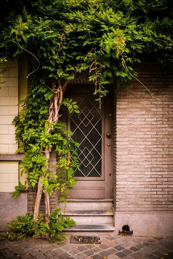 Doors of Ixelles No. 9, Brussels, Belgium 2018
