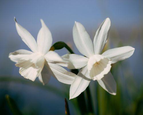 Mdawmdawmdawmdaw7qgraepd6cacehr zcfbfywxu2fyveayeunrgwctqqqltnerwweter6yomfiojy24adow ljj7f22f2vd2s3k0fn 38ezqodftc2xeuhdjufahdziomokxodj3hs jg da6ji5eudq olwagpj5emn5nyhwxfnbwdbciyhdi tyvgciod6bw 4crslp7fa1z34f5maegse47 lf9cot0wgek2qnumeb9vb4dsewva6dy5dthuzzlyuk5eiw vfpojowaqmjmd3nf h8ih8nrdl55mrzxslfrs7pa6whhdogr n0nvkwjwpacd5wds7m9k2x5ck2kxmsr9i4
