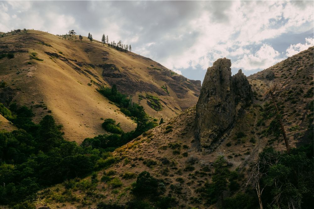 Evening Light on Cougar Canyon, Washington