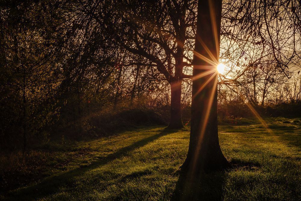 Early Spring Sunrise, Albany, Oregon, 2016