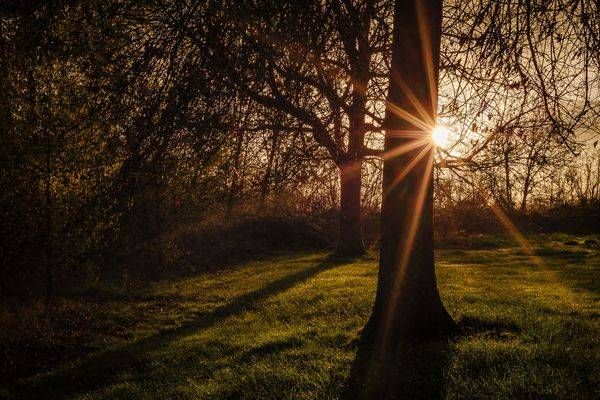 Early Spring Sunrise, Albany, Oregon, 2016