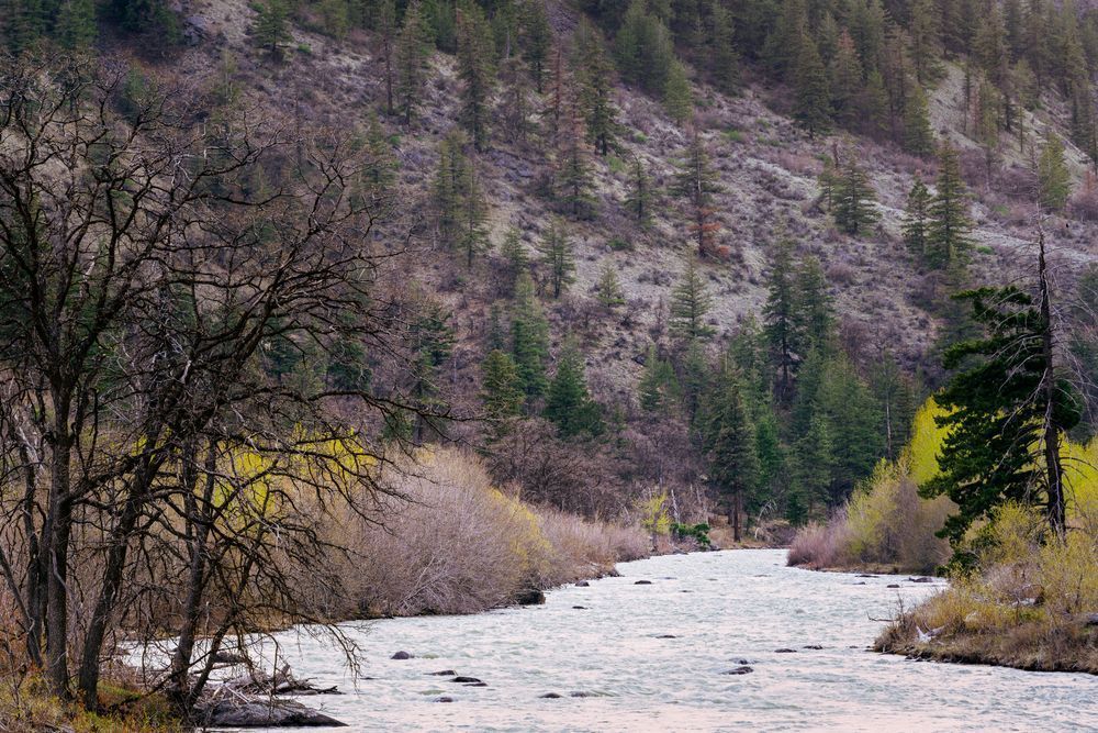 Early Spring, Tieton River, Washington, 2022