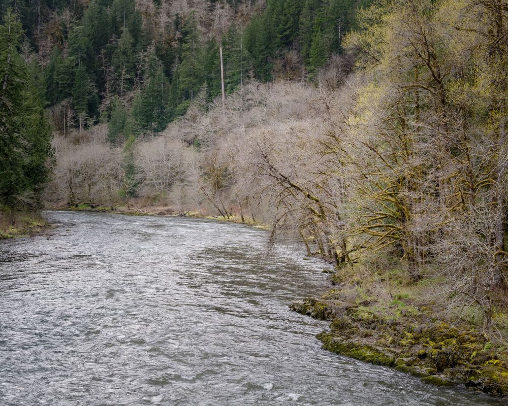 Nehalem River, Oregon, 2023