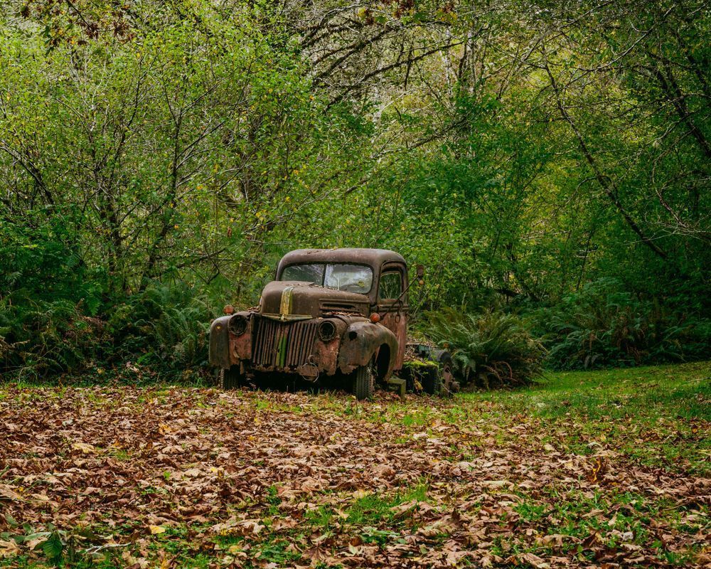 Old Ford Truck, Brooklyn, Washington, 2020