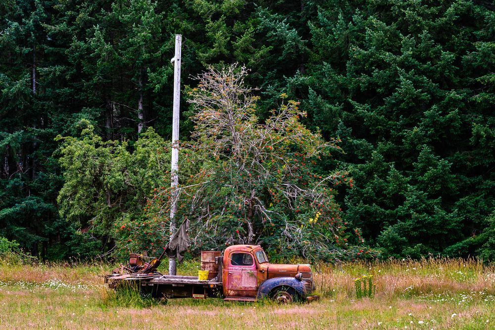 Old Dodge Flatbed Truck, Claquato, Washington, 2016
