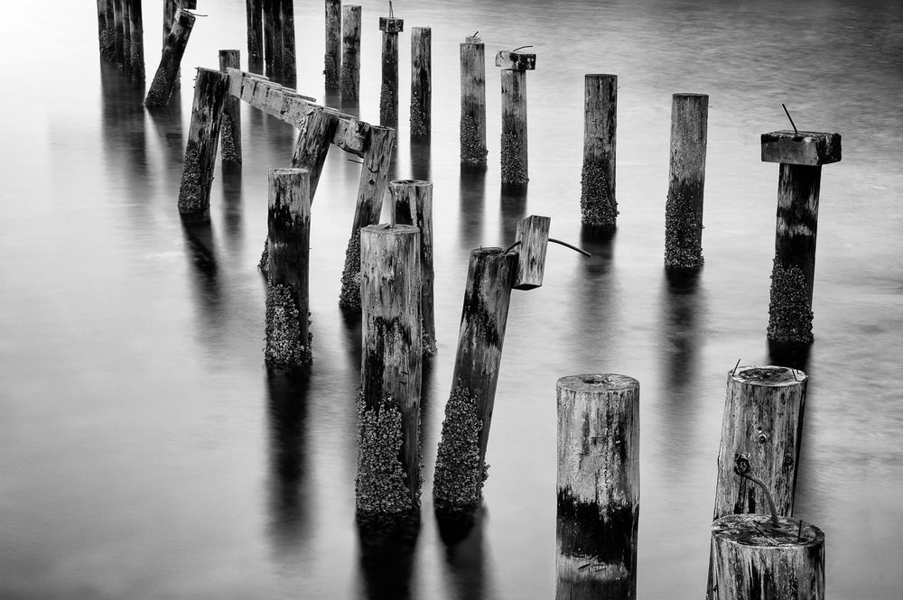 Old Dock Pilings, Cummings Park, Tacoma, Washington, 2014