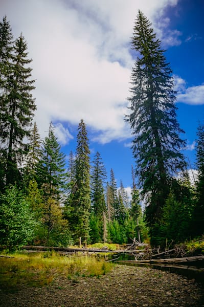 On the Banks of the Little Naches River, Washington, 2016