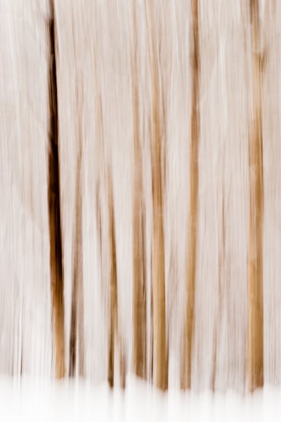 Late Fall Snowy Abstract, Kittitas County, Washington, 2012