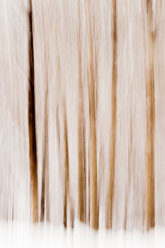 Late Fall Snowy Abstract, Kittitas County, Washington, 2012