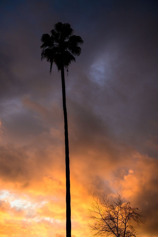 Los Angeles Sunset, California, 2019