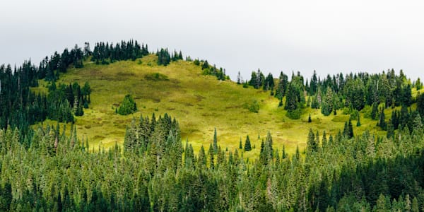 Lookout Mountain, Gifford Pinchot National Forest, Washington, 2016