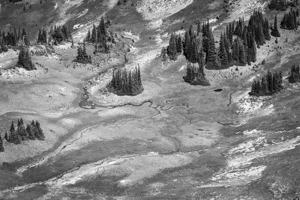 Looking Down on the Alpine Meadows, Mt. Fremont, Washington, 2022