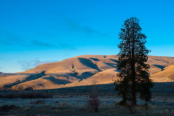 Morning Sun, Yakima River Canyon, Washington, 2011