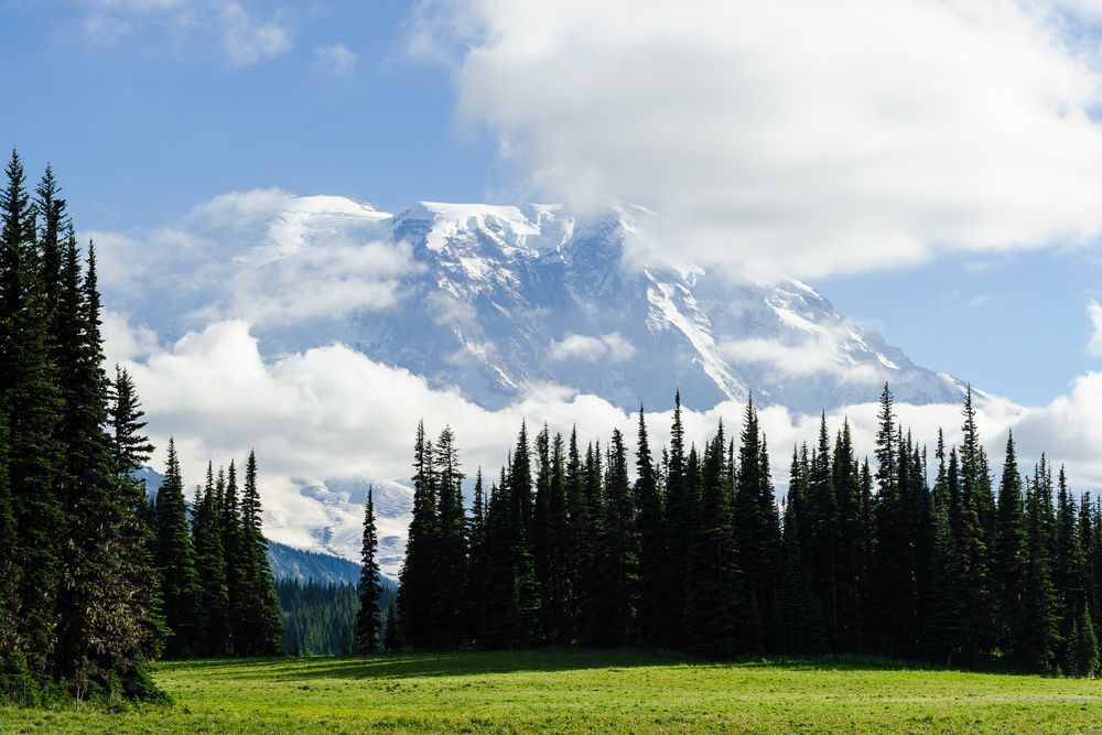 Mount Rainier Shrouded by Clouds, Grand Park, Washington, 2016