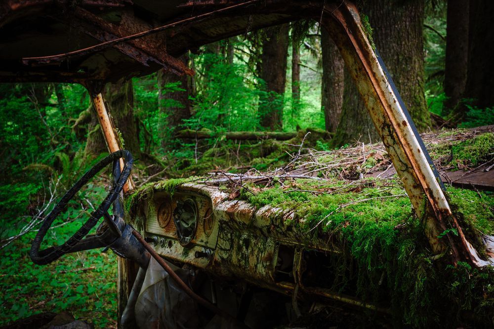 Rust in Peace No. 4, Olympic National Forest, Washington, 2016