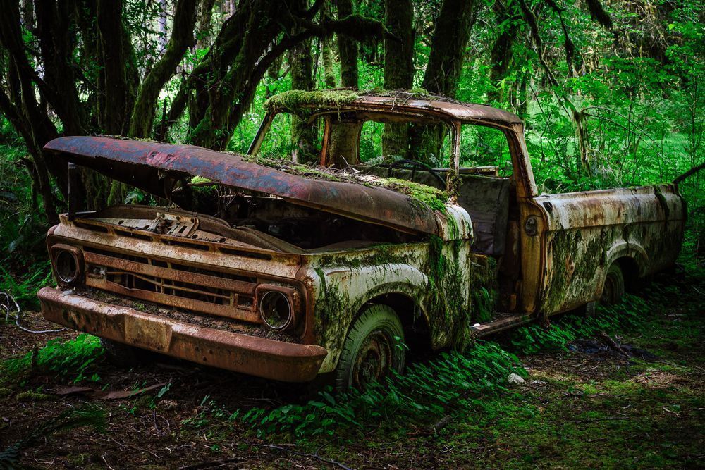 Rust in Peace No. 1, Olympic National Forest, Washington, 2016