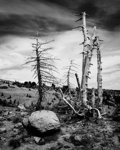 Mdawmdawmdawmdaw7qgraepd6cacehr zcfbfywxu2fyveayeunrgwctqqqltnerwweter6yomfiojy24adow ljj7f22f2vd2s3k0fn 38ezqodftc2xeuhdjufahdziomokxodj3hs jg da6ji5eudq olwagpj5emn5wcw6bytr0dl6pkh9tp9brgyfrdas66oipb6lsglzel54m2 wyqvb8qob7eoq0ljrp3pzwmubmblxkov 6jvt5 88legzs2fw ziqjba10gc6wxn4efxigtnuxgc3rgf59prj rgdlu cpskmndcr1uyufqftkaek1ghajqkcqrkxntk3elxlz2zngxkd5xhaudq