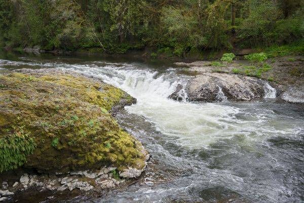 Rainbow Falls, Chehalis River, Washington, 2021