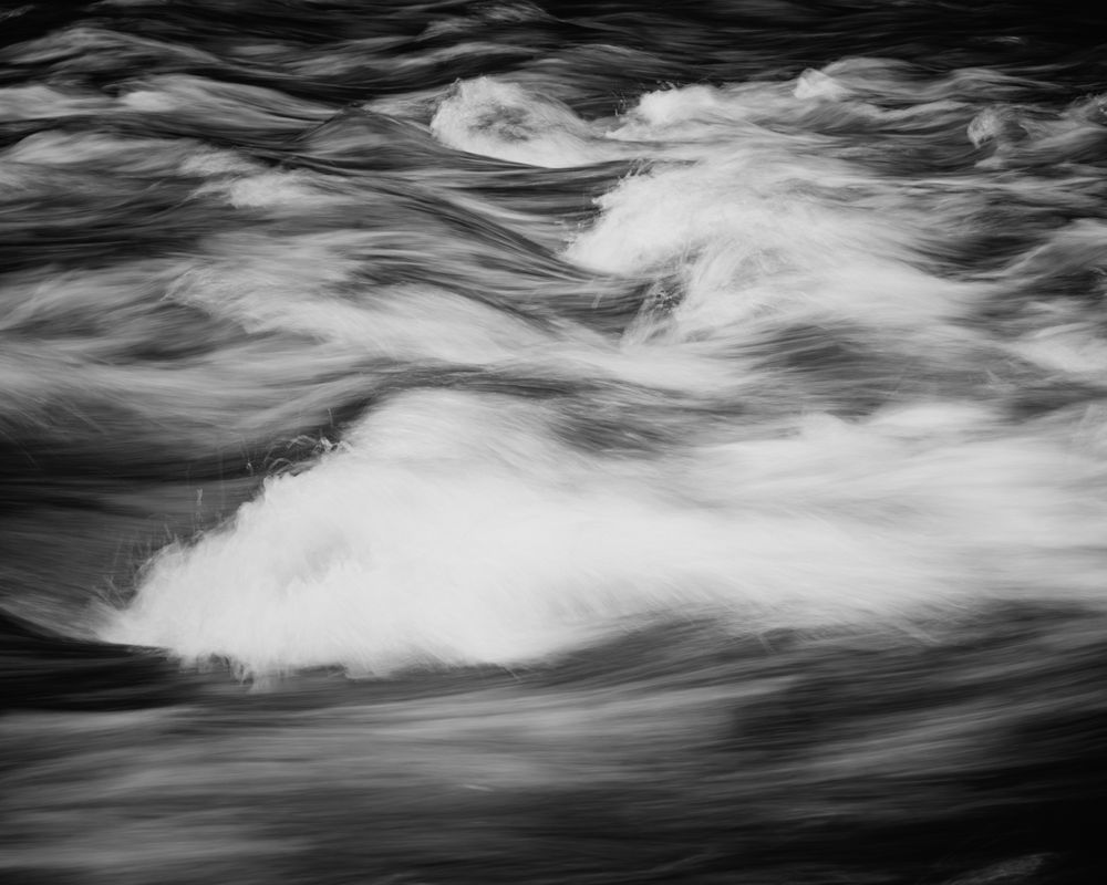Surge and Return, Capital State Forest, Washington, 2025